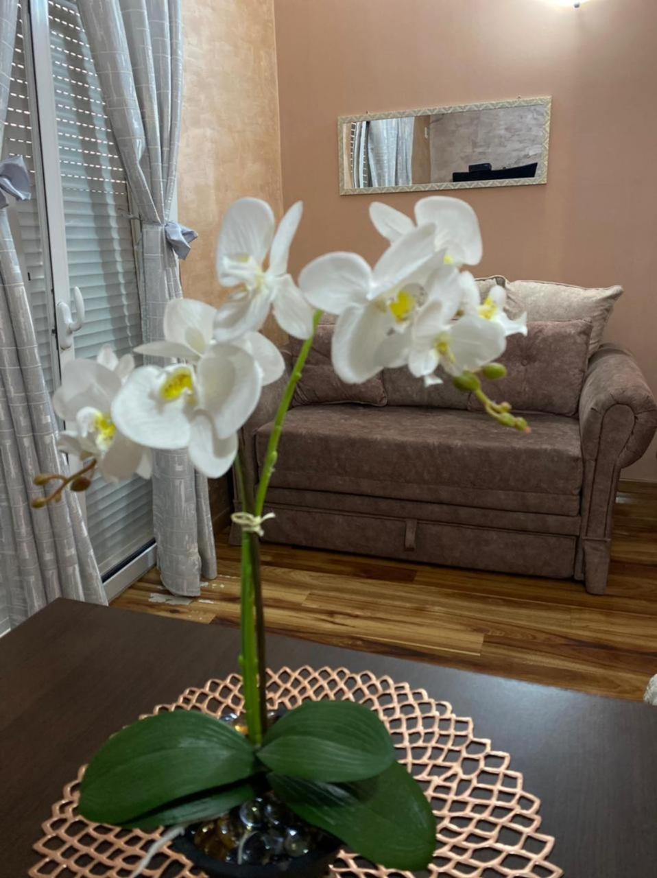 Apartment Pejovic *